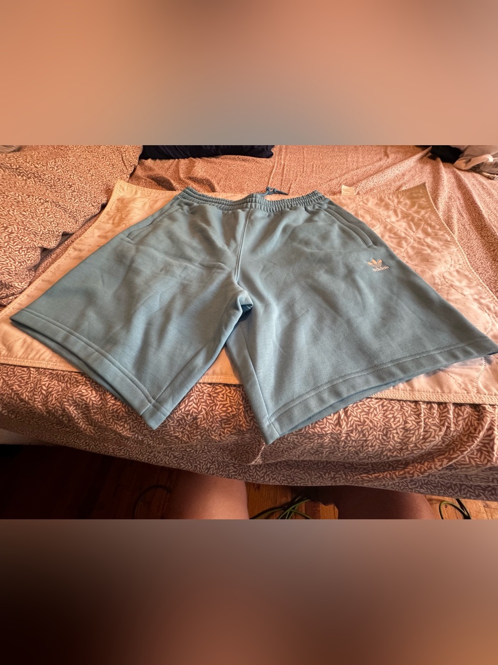 adidas Sky Blue Trefoil Casual Shorts
